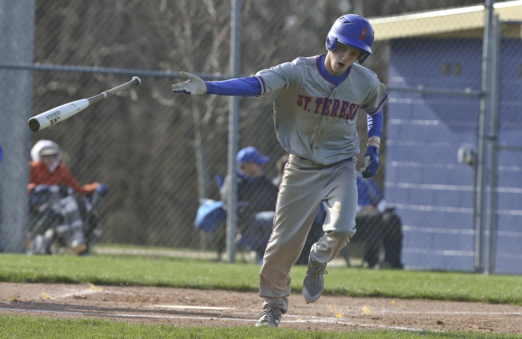 St Teresa Maroa Forsyth baseball 17 4.10.19.JPG